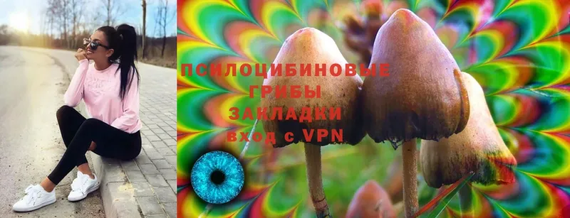 Псилоцибиновые грибы MAGIC MUSHROOMS  это как зайти  Камешково  kraken как войти 